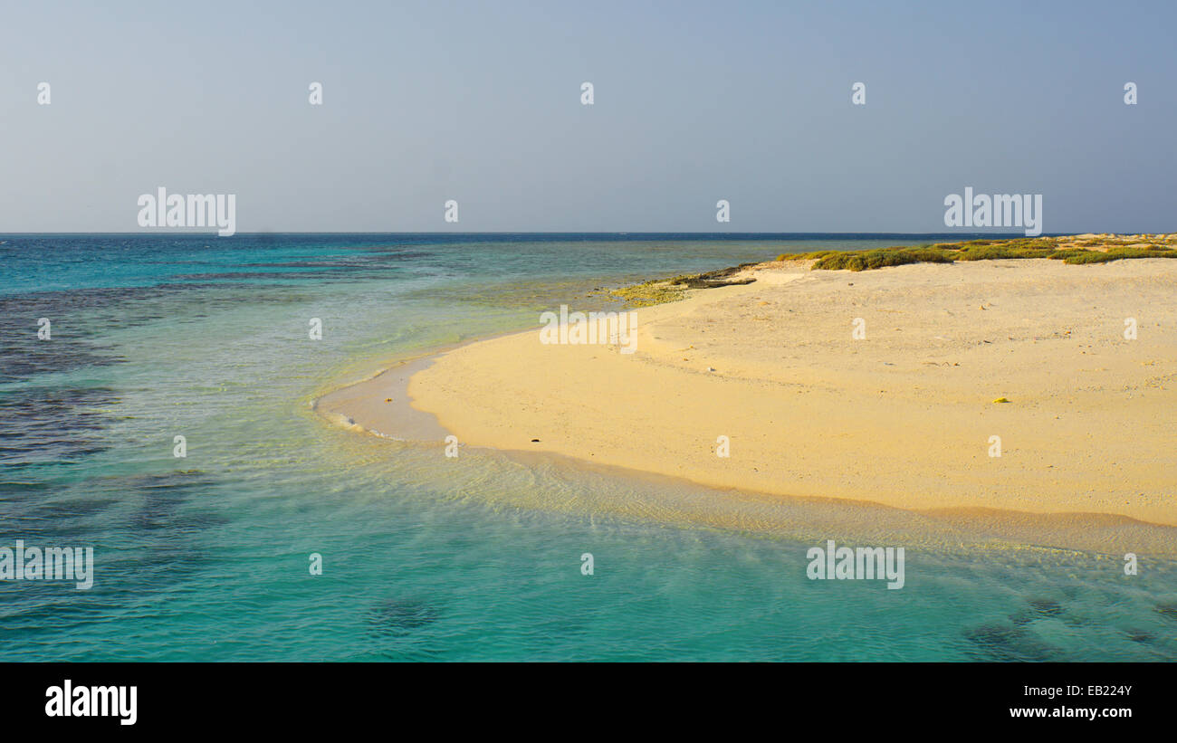 Tropical Coral Island in Egitto Foto Stock
