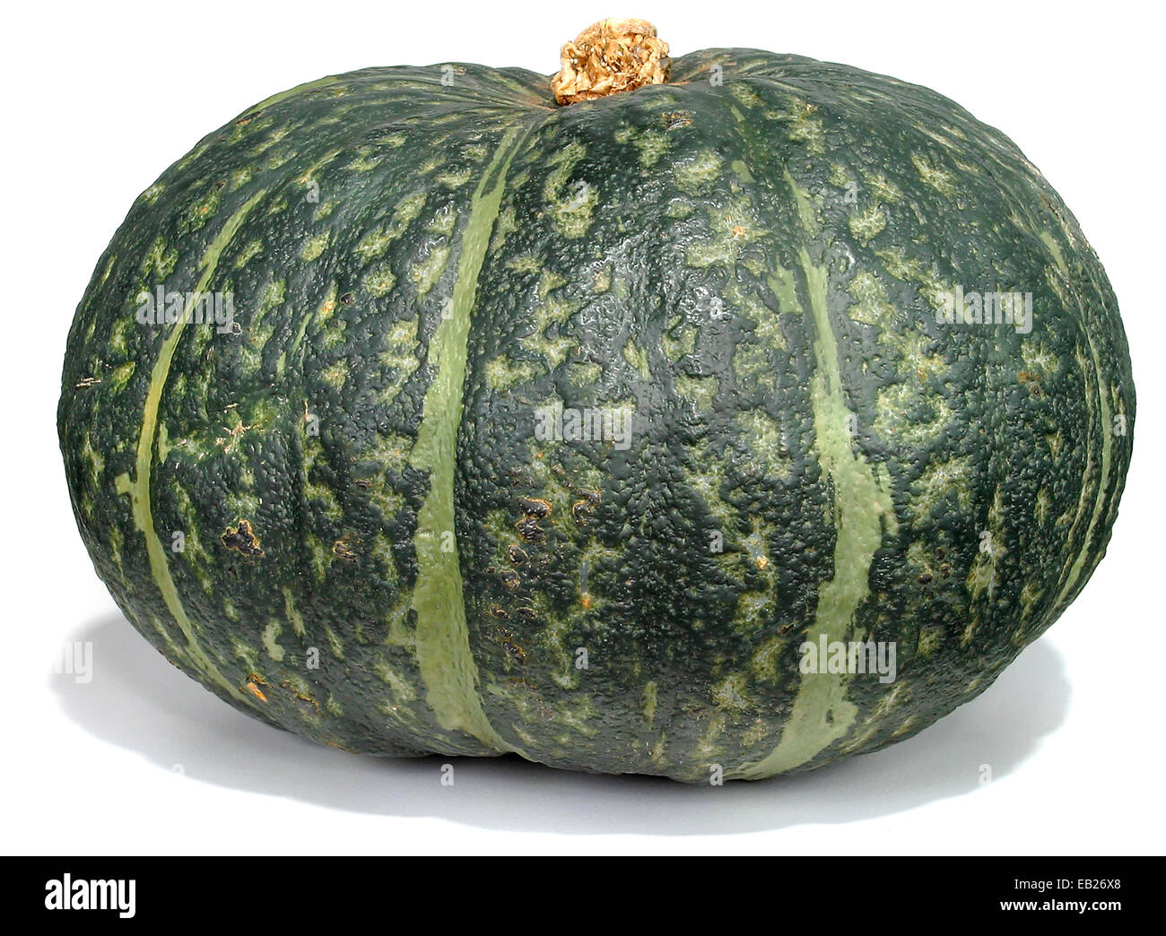 Kabocha squash fotografato su sfondo bianco Foto Stock