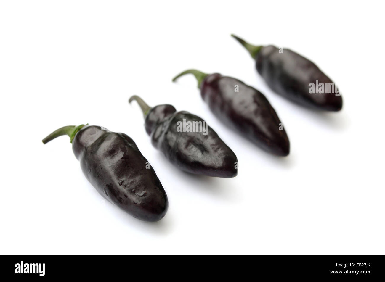 Peperoncini nero noto come pimenta de neyde peperoncini di isolati su sfondo bianco in questo studio di fotografia foto alimentare. Quattro peperoncini rossi in una fila diagonale Foto Stock