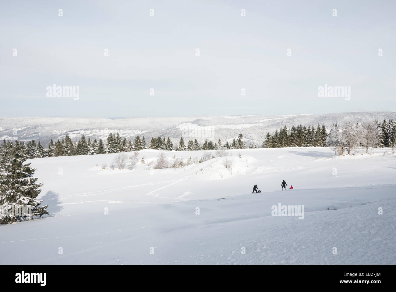 Paesaggio invernale in montagne Vosges. Foto Stock