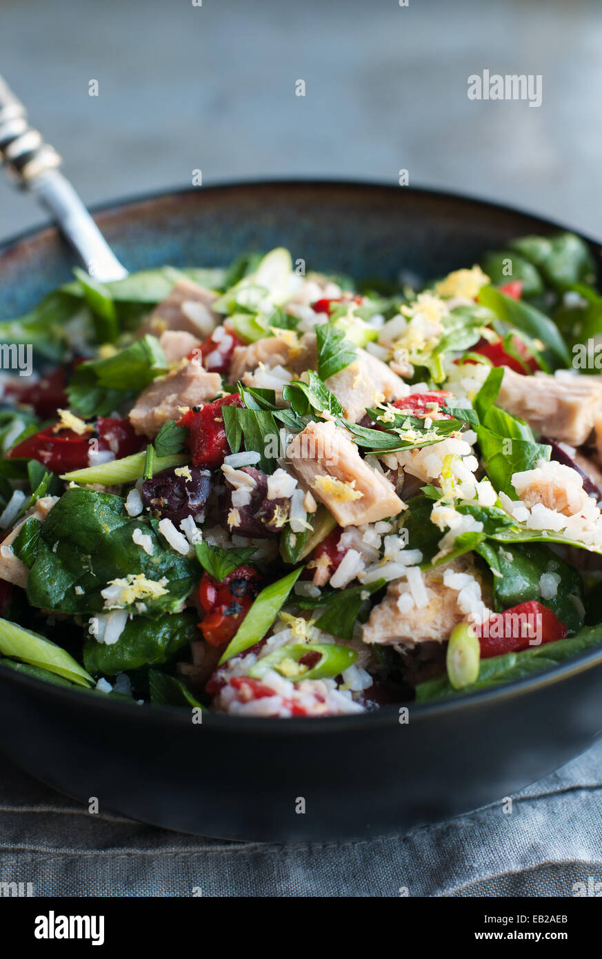 Si lancia con insalata di tonno, riso e verdure Foto Stock