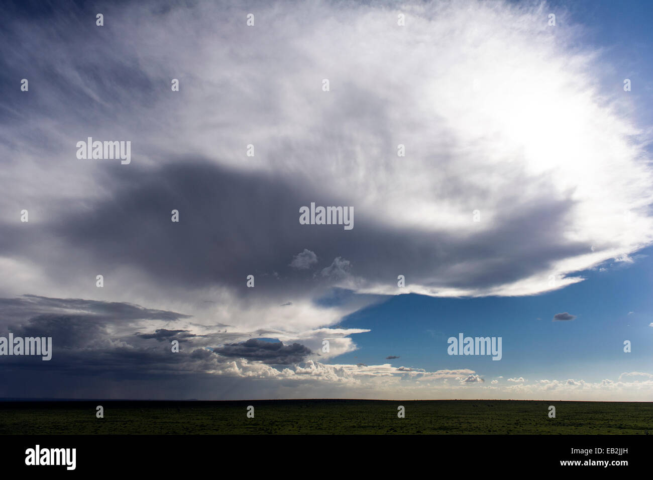Una tempesta si avvicina la savana e viene forzata verso il cielo da forti venti. Foto Stock