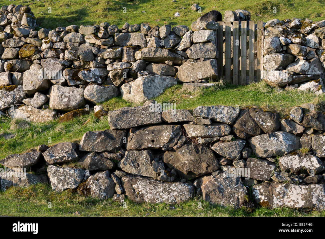 Le antiche pareti di pietra, Bøur, Vágar, Isole Faerøer, Danimarca Foto Stock