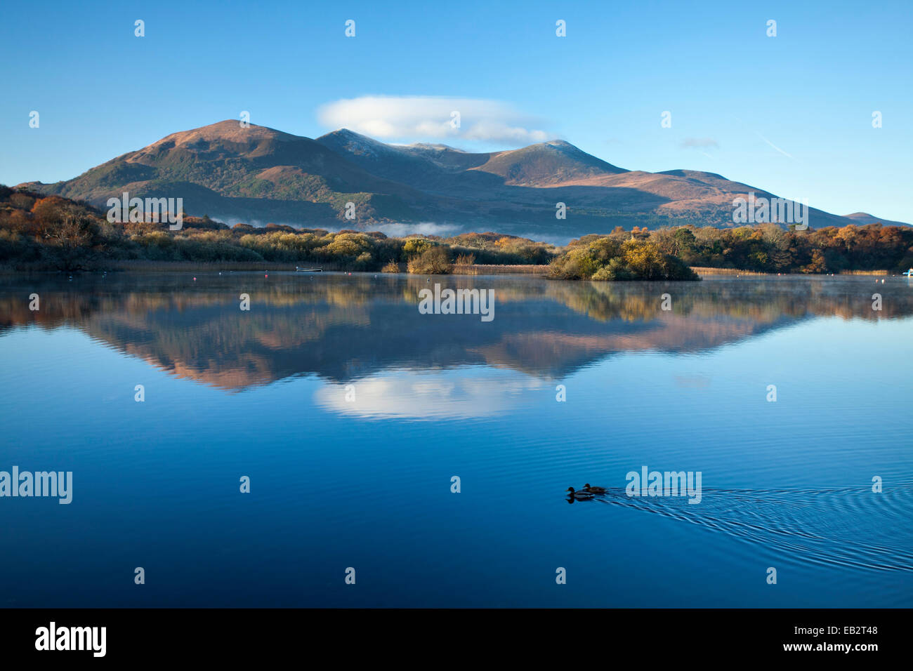 Il MacGillycuddy Reeks di montagne riflesse del Lough Leane, Parco Nazionale di Killarney, nella contea di Kerry, Irlanda. Foto Stock