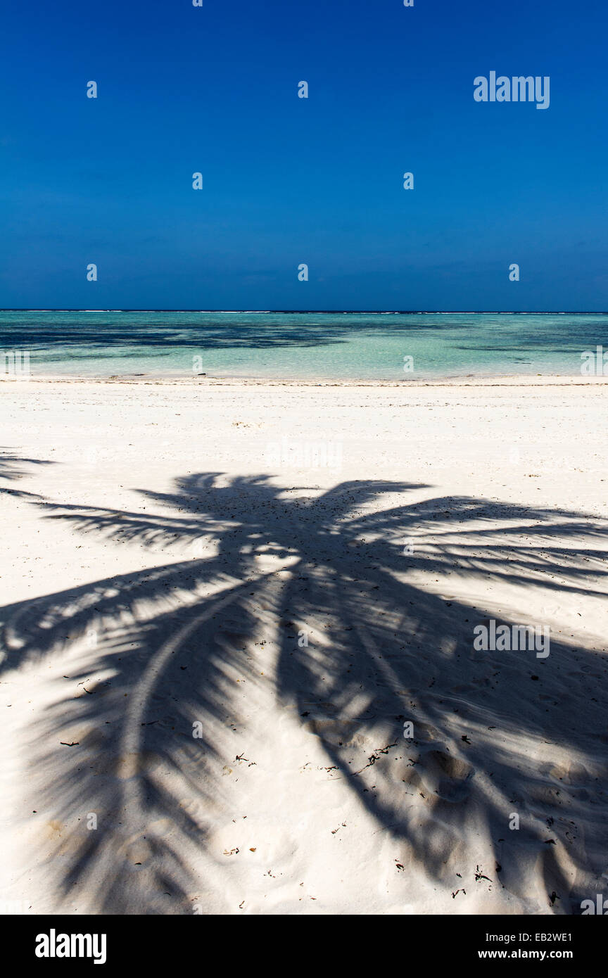 L'ombra di fronde di palme su una incontaminata isola tropicale spiaggia che si affaccia sulle acque turchesi dell'Oceano Indiano. Foto Stock