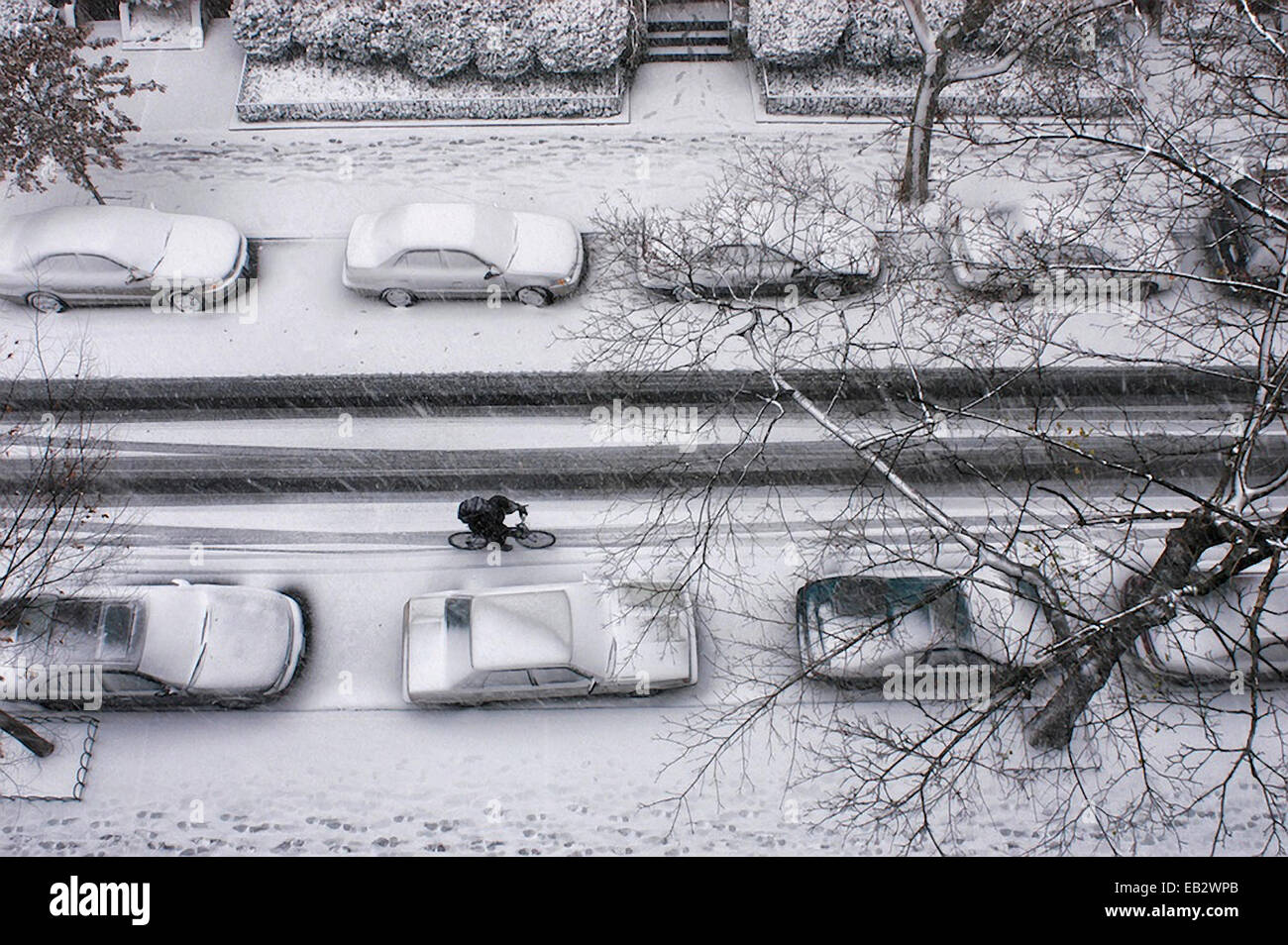 Un ciclista passa automobili parcheggiate su un New York City street durante una bufera di neve. Foto Stock