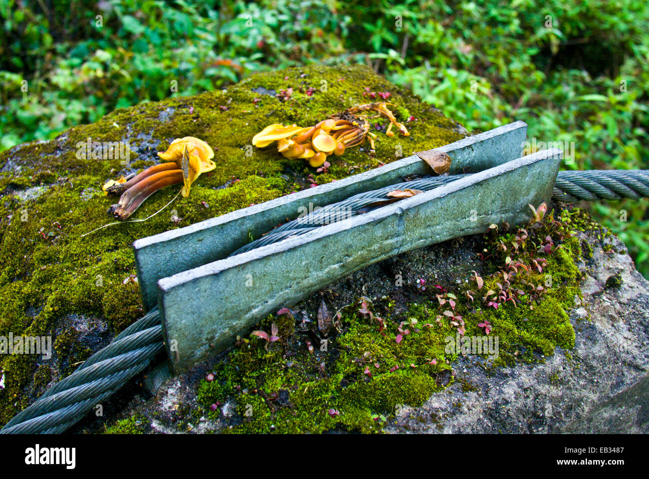 Un cavo di acciaio drappeggiati attraverso un supporto concreto di un ponte di sospensione su una montagna himalayana gorge. Foto Stock