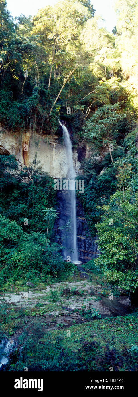 Una cascata precipita su una scogliera in una cortina di nebbia da una fitta foresta di montagna. Foto Stock