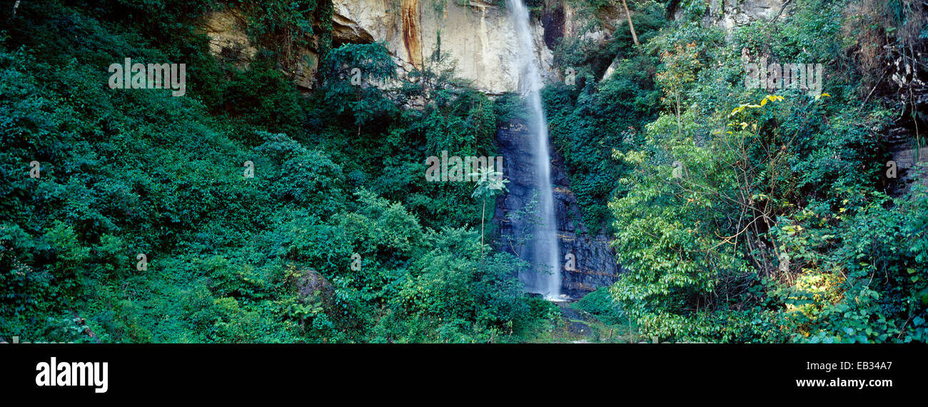 Una cascata precipita su una scogliera in una cortina di nebbia da una fitta foresta di montagna. Foto Stock