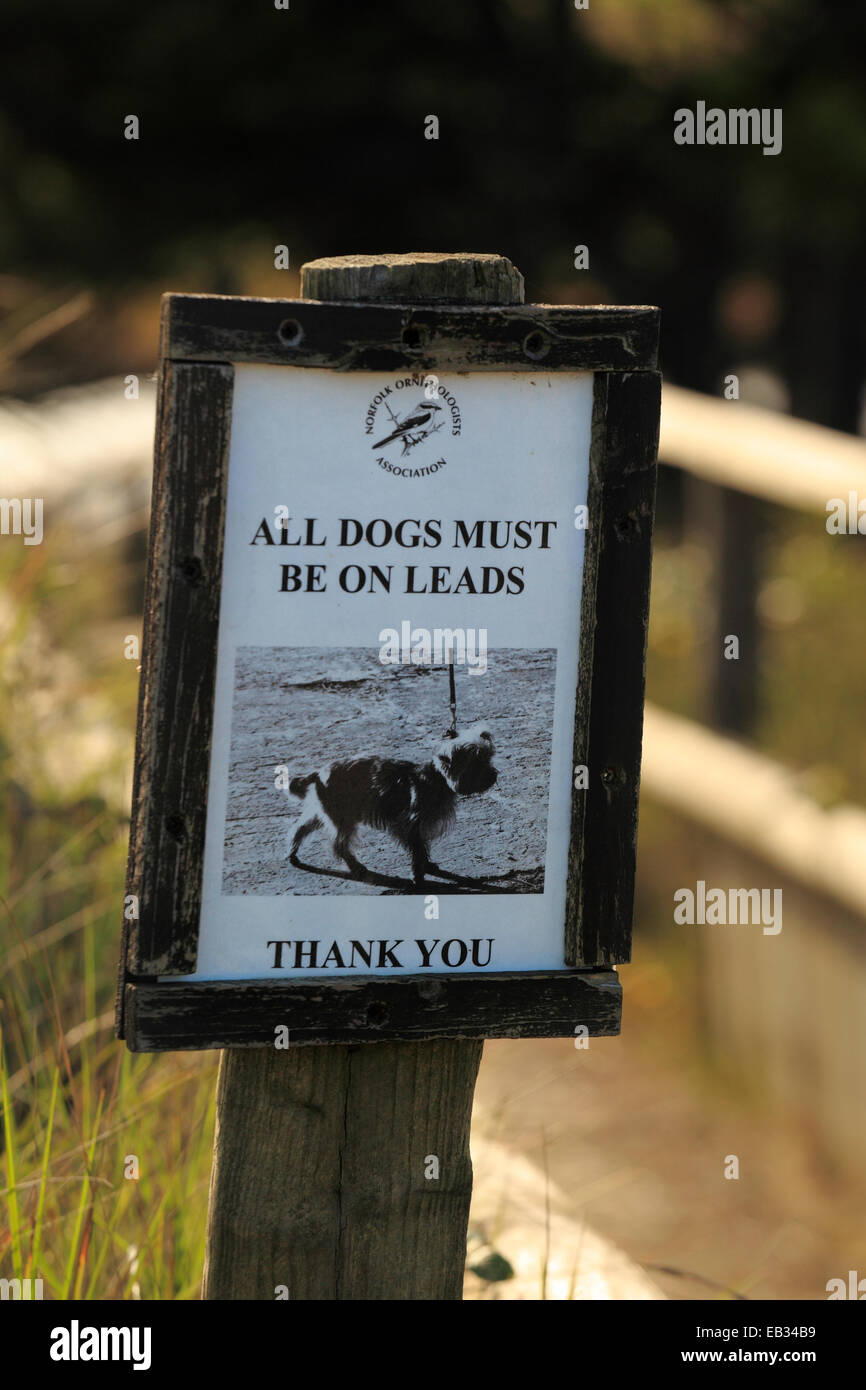 "Tutti i cani devono essere sulle derivazioni' segno a Holme dune riserva naturale. Foto Stock