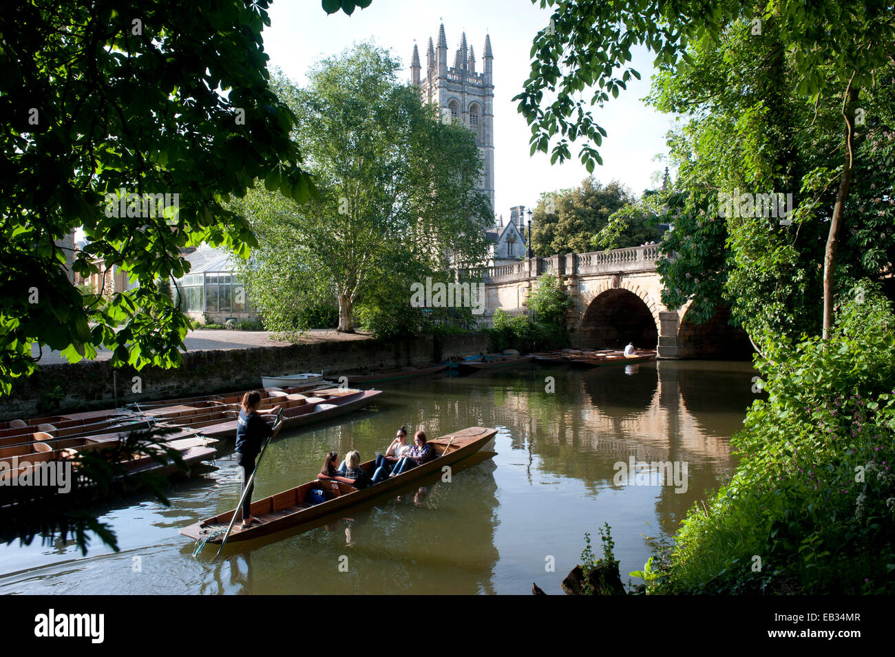 Oxford e punting sotto Magdalen Bridge Foto Stock