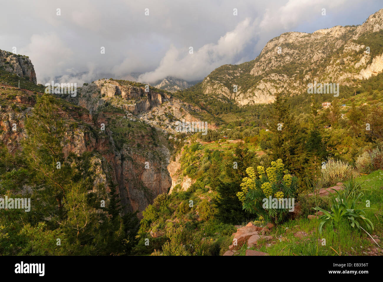 Kelebek Vadisi o Valle delle Farfalle, Lycian Coast, vicino Faralya, Muğla provincia, regione del Mar Egeo, Turchia Foto Stock