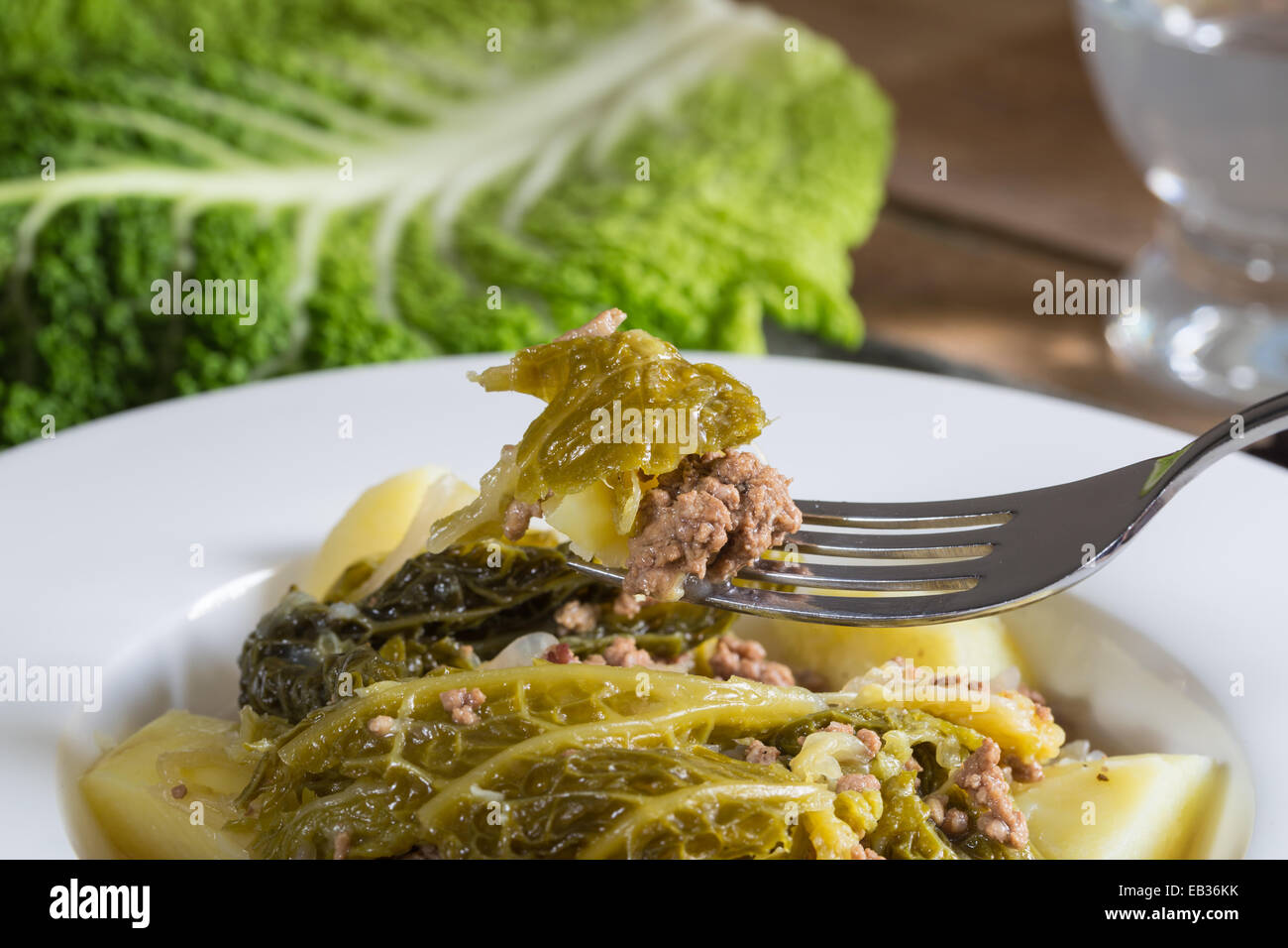 Cavolo verza stufato di carne con patate e carne di manzo macinata. Foto Stock