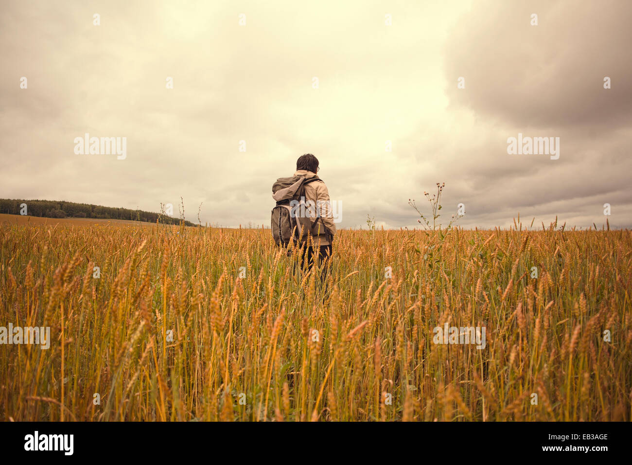 Mari man standing in erba alta in campo rurale Foto Stock