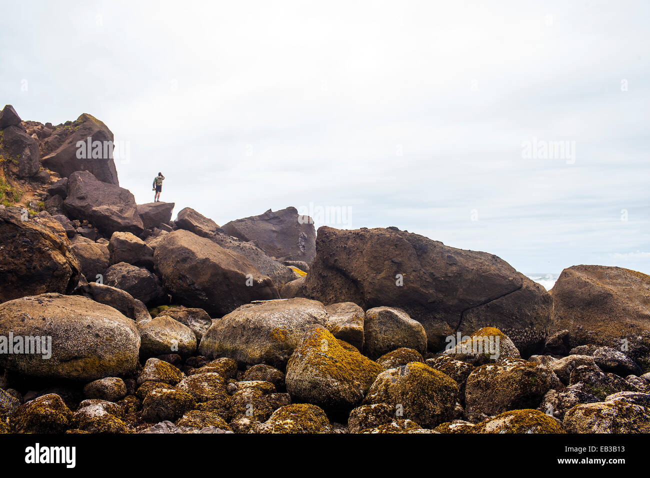 Persona in piedi sulle rocce di muschio sulla spiaggia Foto Stock