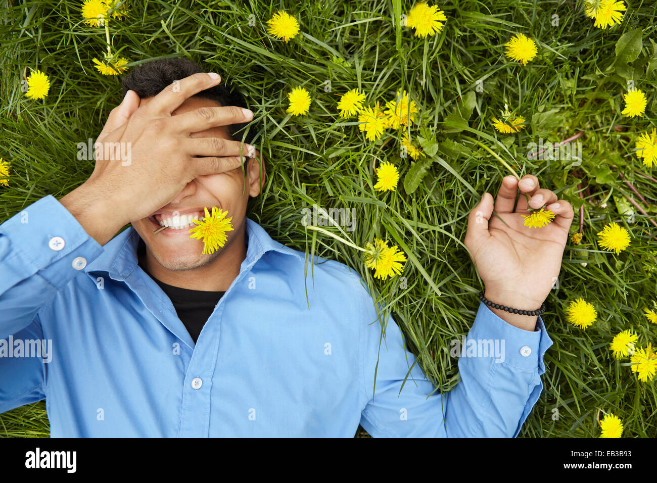 Uomo sorridente che stabilisce nel campo dei fiori Foto Stock