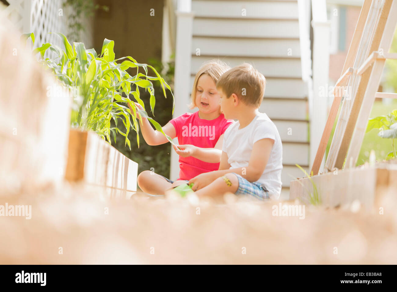 Bambini giardinaggio insieme nel cortile posteriore Foto Stock