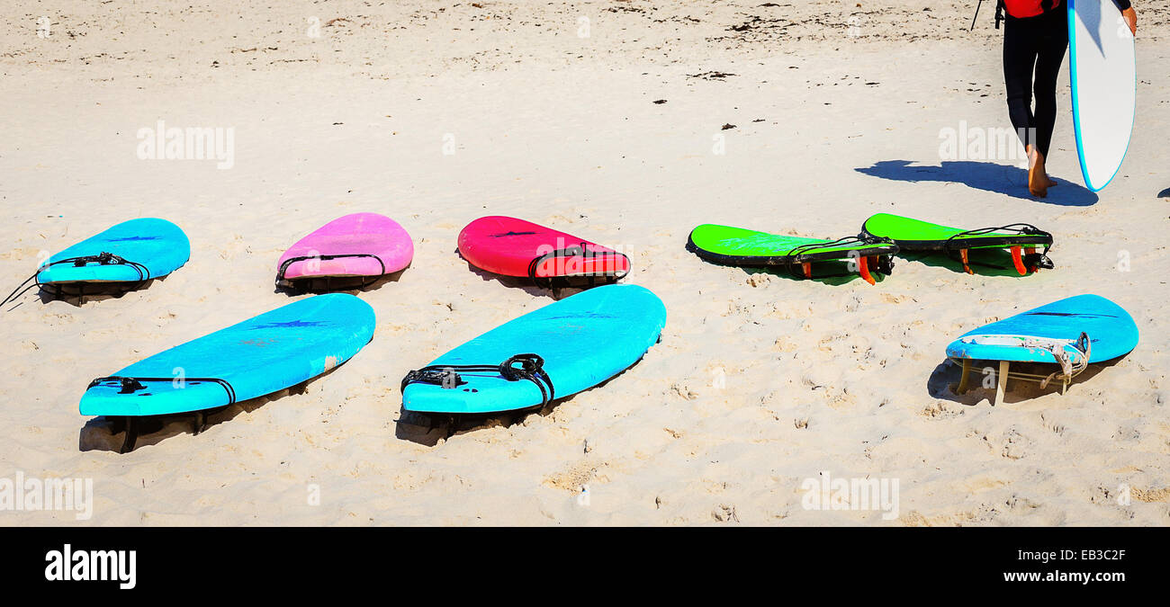 Vista posteriore di un surfista che porta una tavola da surf Foto Stock