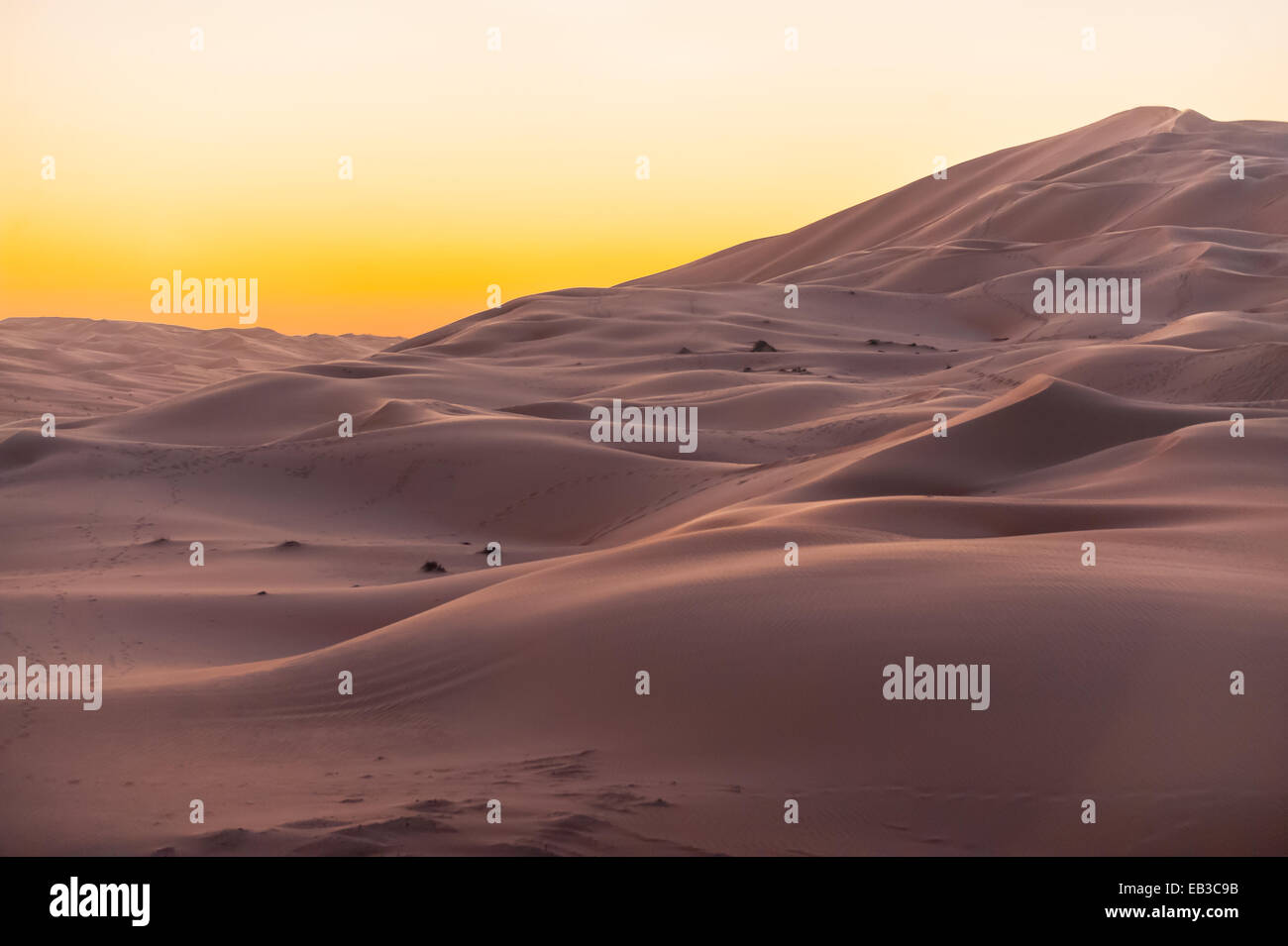 Tramonto su dune di sabbia, Empty Quarter (Rub' al Khali), Abud Dhabi Emirati arabi uniti Foto Stock
