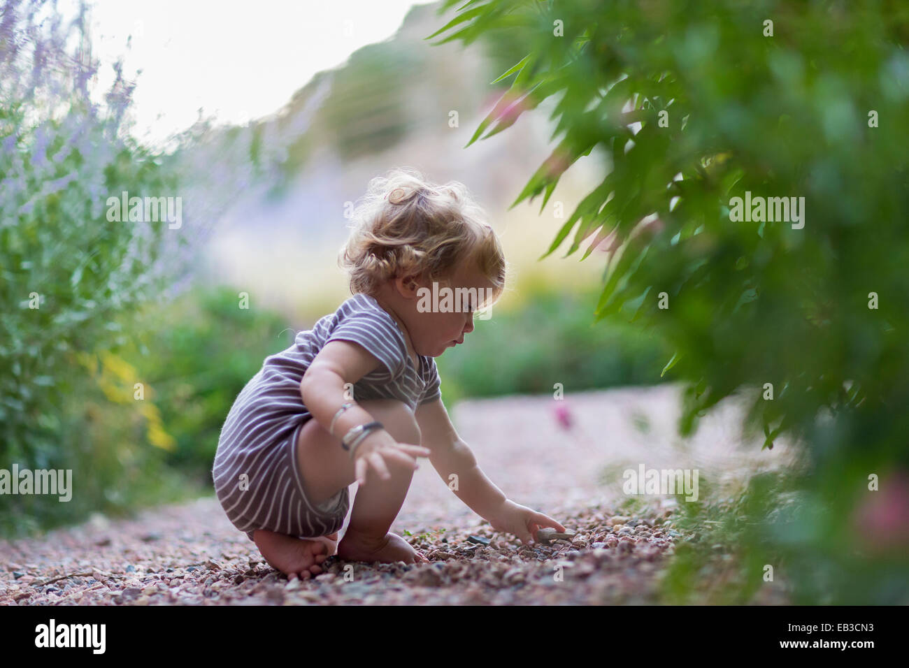 Caucasian baby boy esplorando in giardino Foto Stock