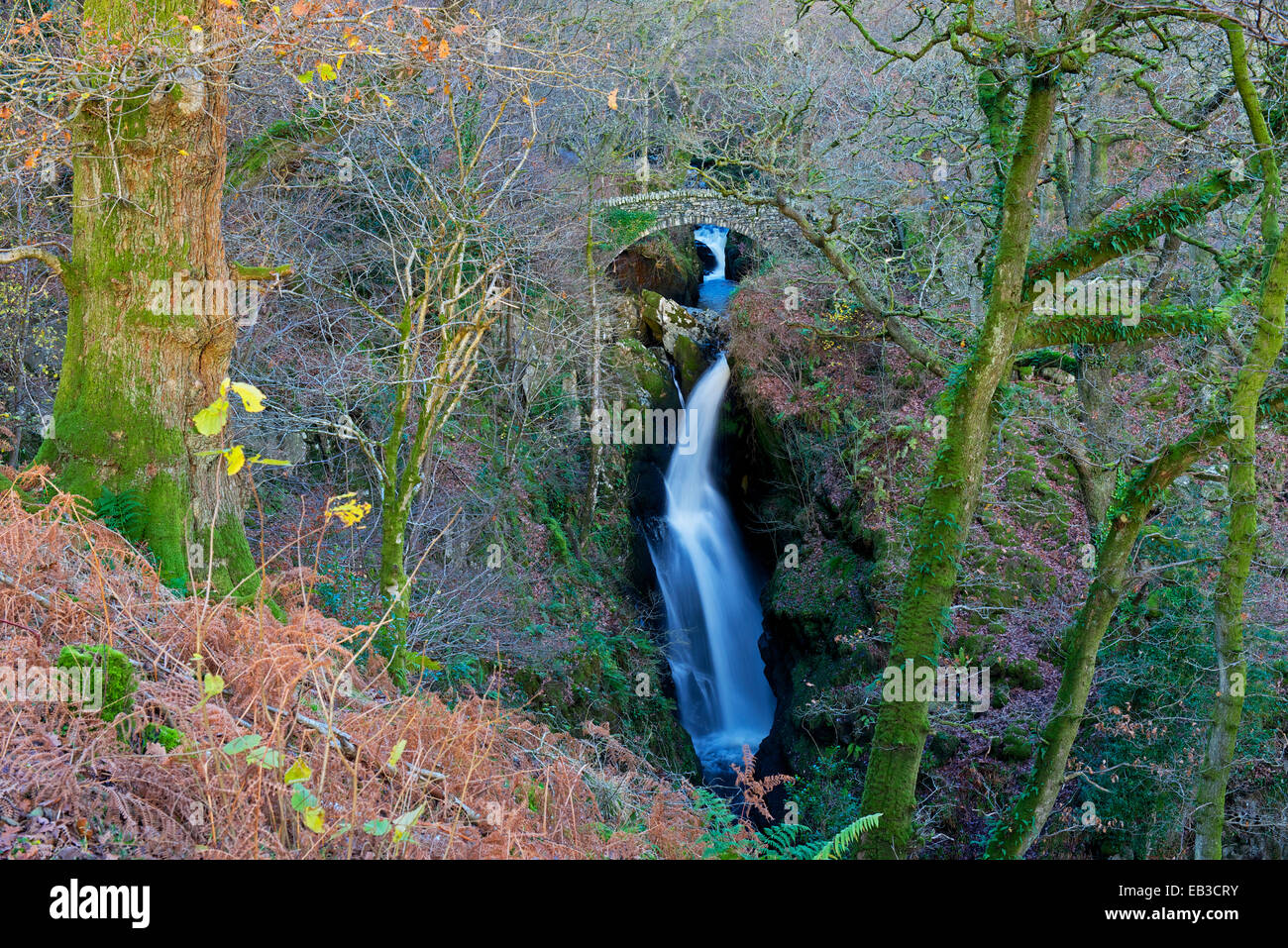 Aira Force, vicino a Ullswater, Parco Nazionale del Distretto dei Laghi, Cumbria, England Regno Unito Foto Stock