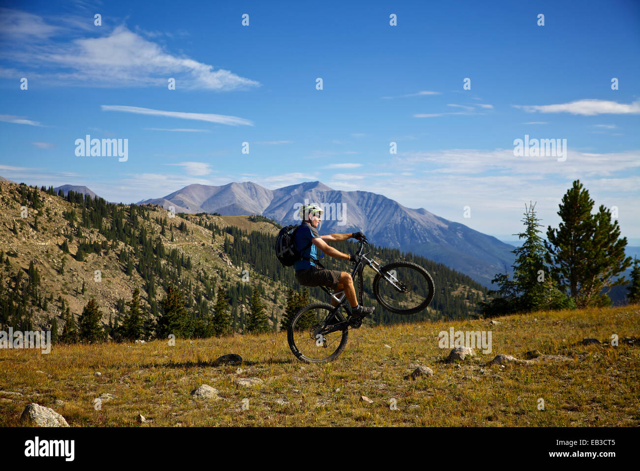 Stati Uniti d'America, Colorado, Monarch Crest Trail, vista laterale del ciclista facendo wheelstand Foto Stock