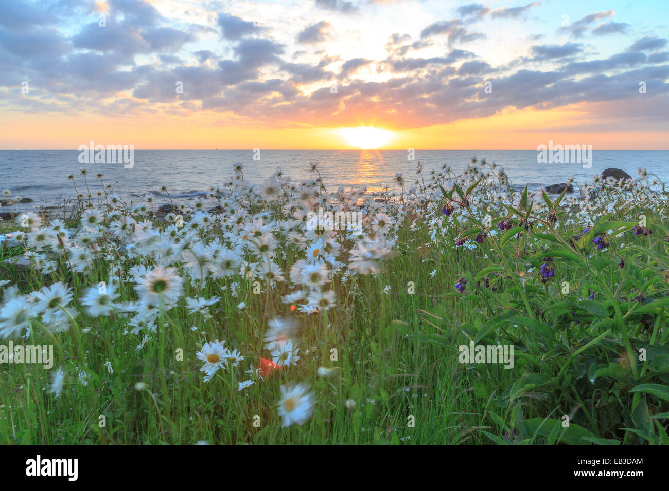 Danimarca, Bornholm tramonto sul mare Foto Stock