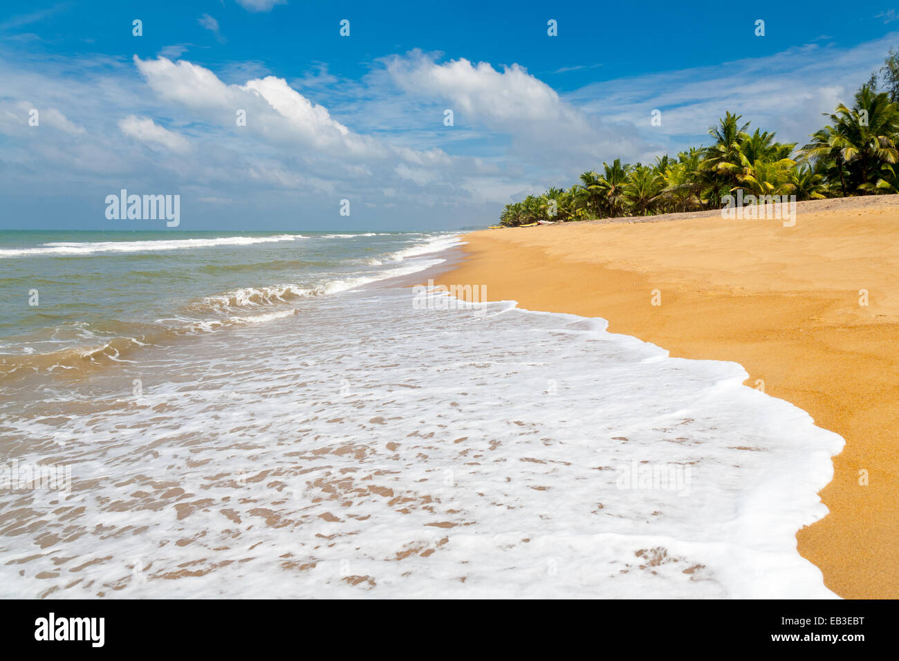 Lavaggio onde su una spiaggia deserta in Sri Lanka Foto Stock