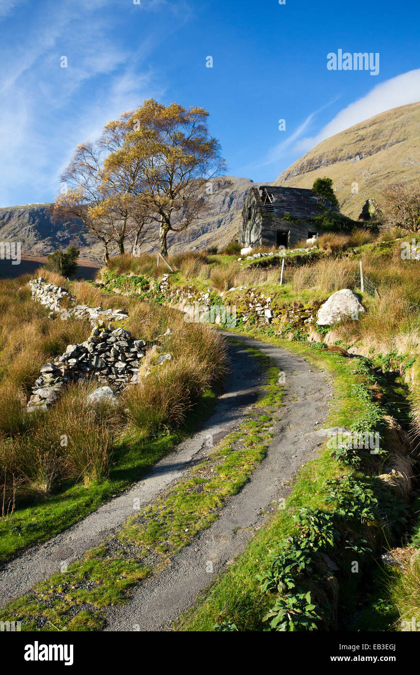 Cottage in rovina sotto il MacGillycuddys Reeks montagna nella Valle del Nera, nella contea di Kerry, Irlanda. Foto Stock