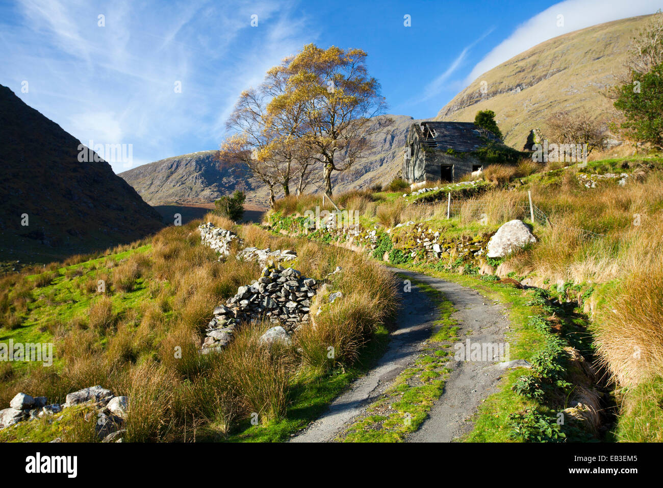 Cottage in rovina sotto il MacGillycuddys Reeks montagna nella Valle del Nera, nella contea di Kerry, Irlanda. Foto Stock