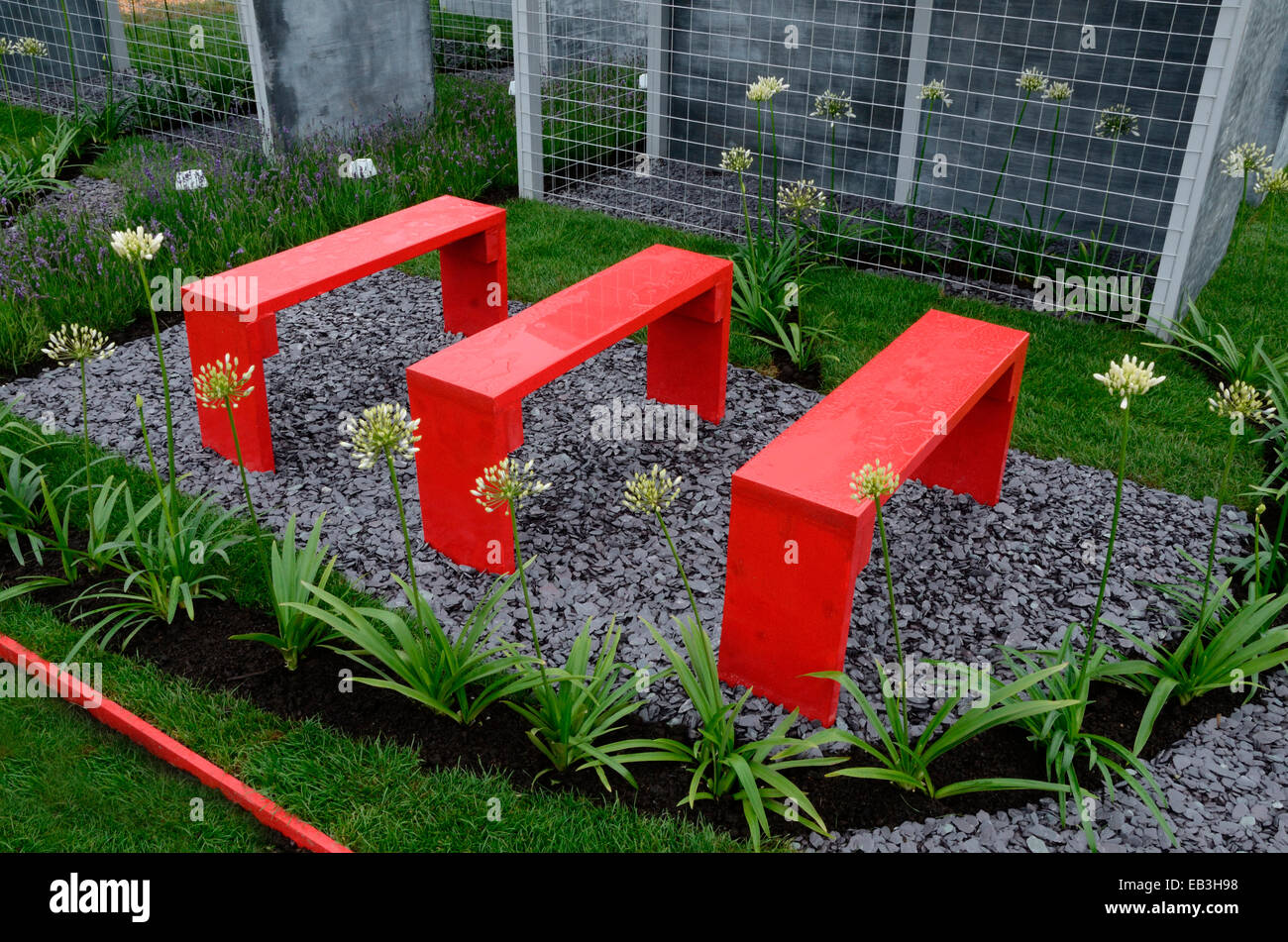 Un giardino design basato su crittografie e significati nascosti con foto che mostra colore rosso brillante panche con Agapanthus Foto Stock