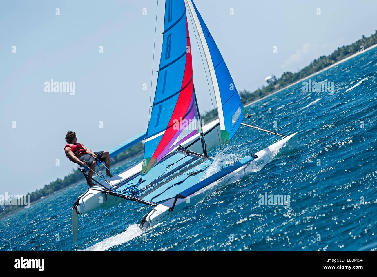 Barca a vela su un catamarano, Isla Verde, Puerto Rico Foto Stock