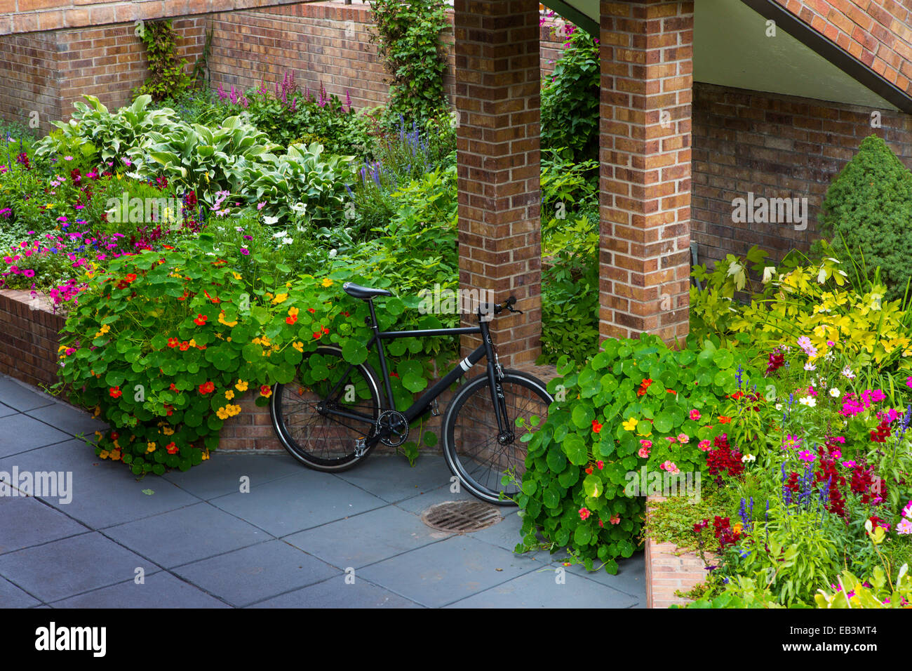 Centro di Aspen nelle Montagne Rocciose del Colorado Foto Stock