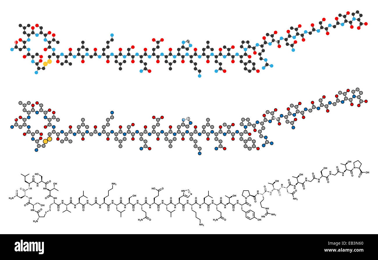 La calcitonina di salmone ormone peptidico molecola di farmaco. Utilizzato nel trattamento dell'osteoporosi postmenopausale e altre malattie. Convenzione Foto Stock