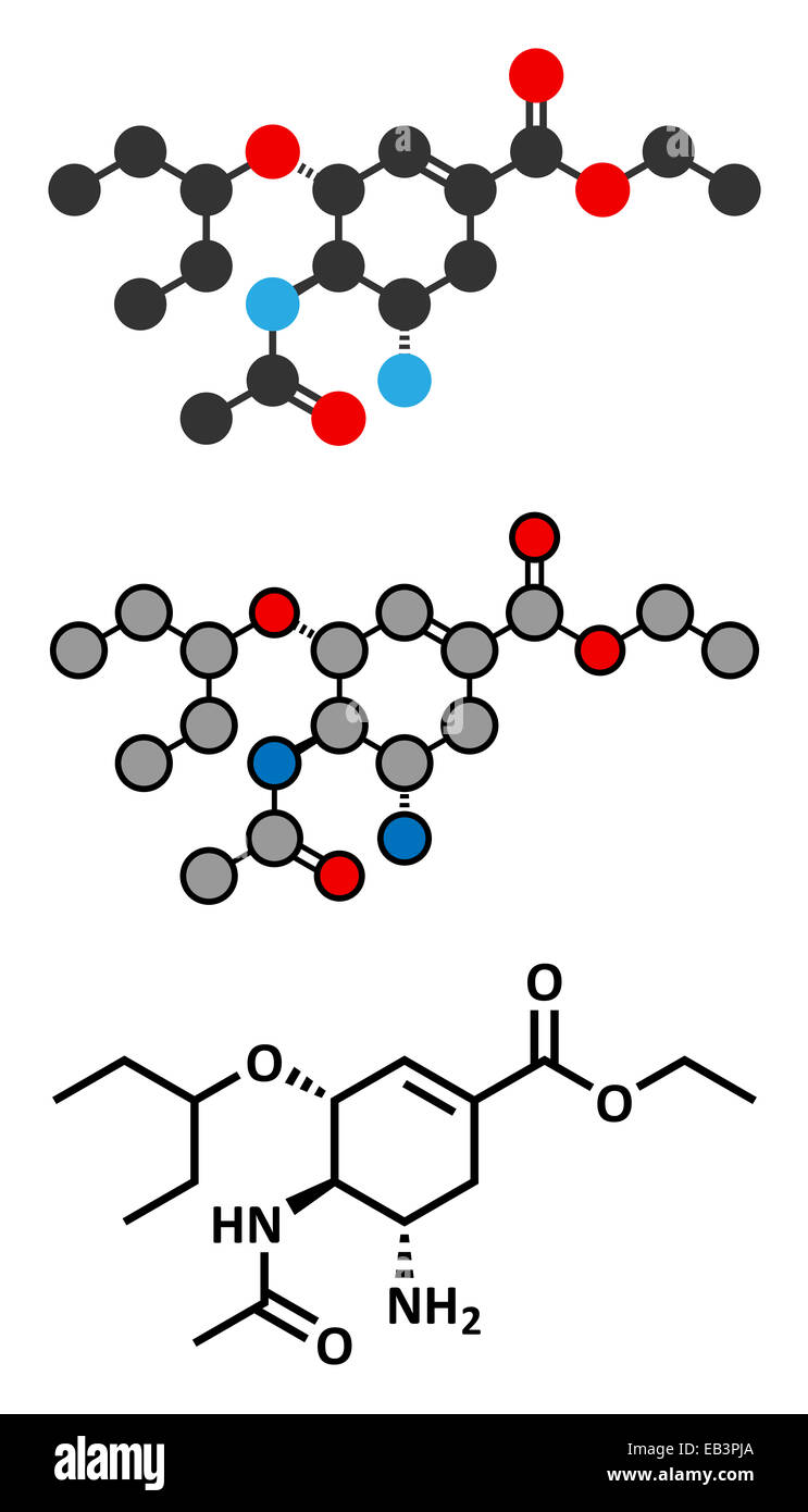 Acido Shikimico: Formula Chimica, Proprietà, Usi, Presenza In Natura - Foto 13