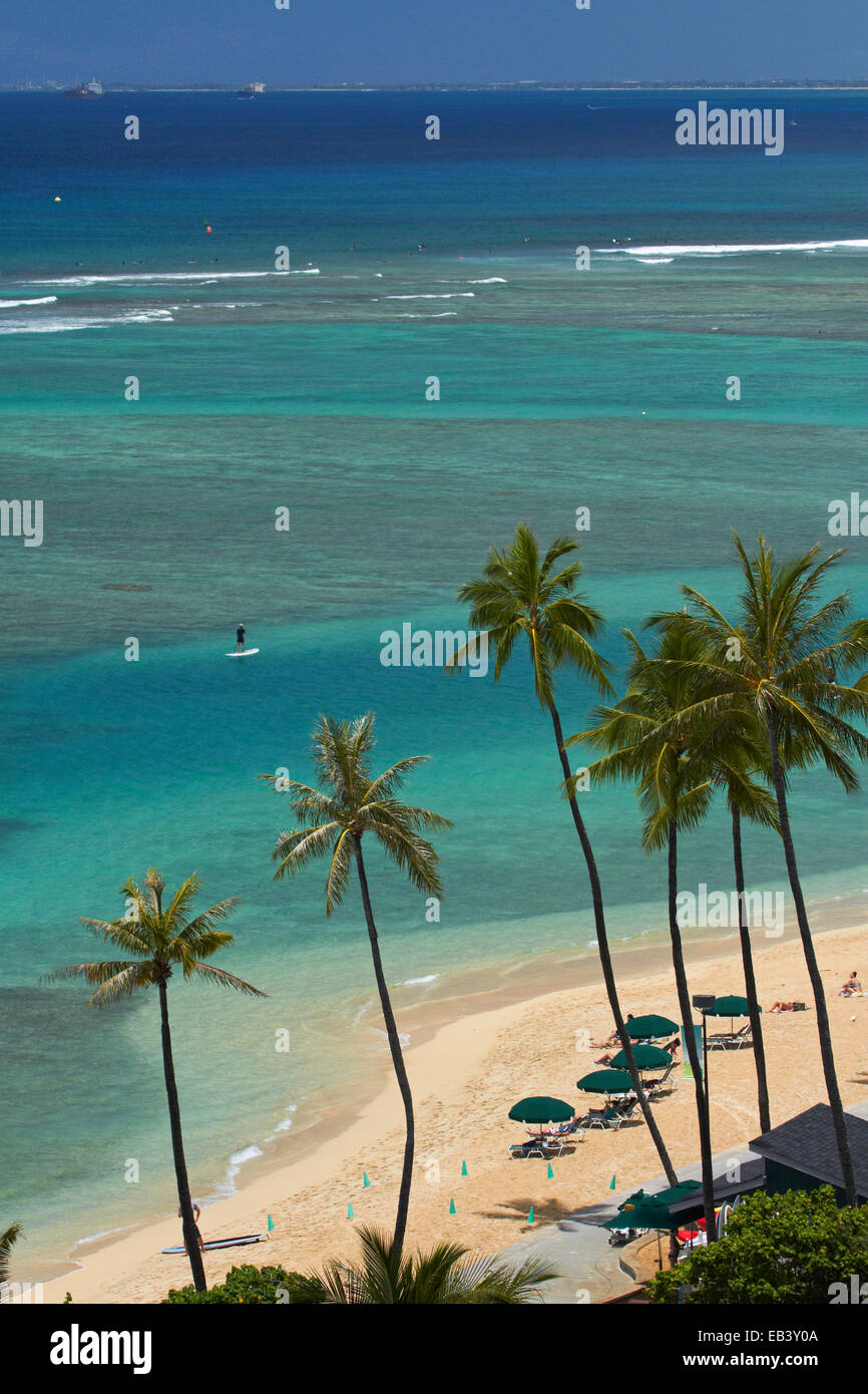 Fort DeRussy Spiaggia e palme, Waikiki, Honolulu Oahu, Hawaii, STATI UNITI D'AMERICA Foto Stock