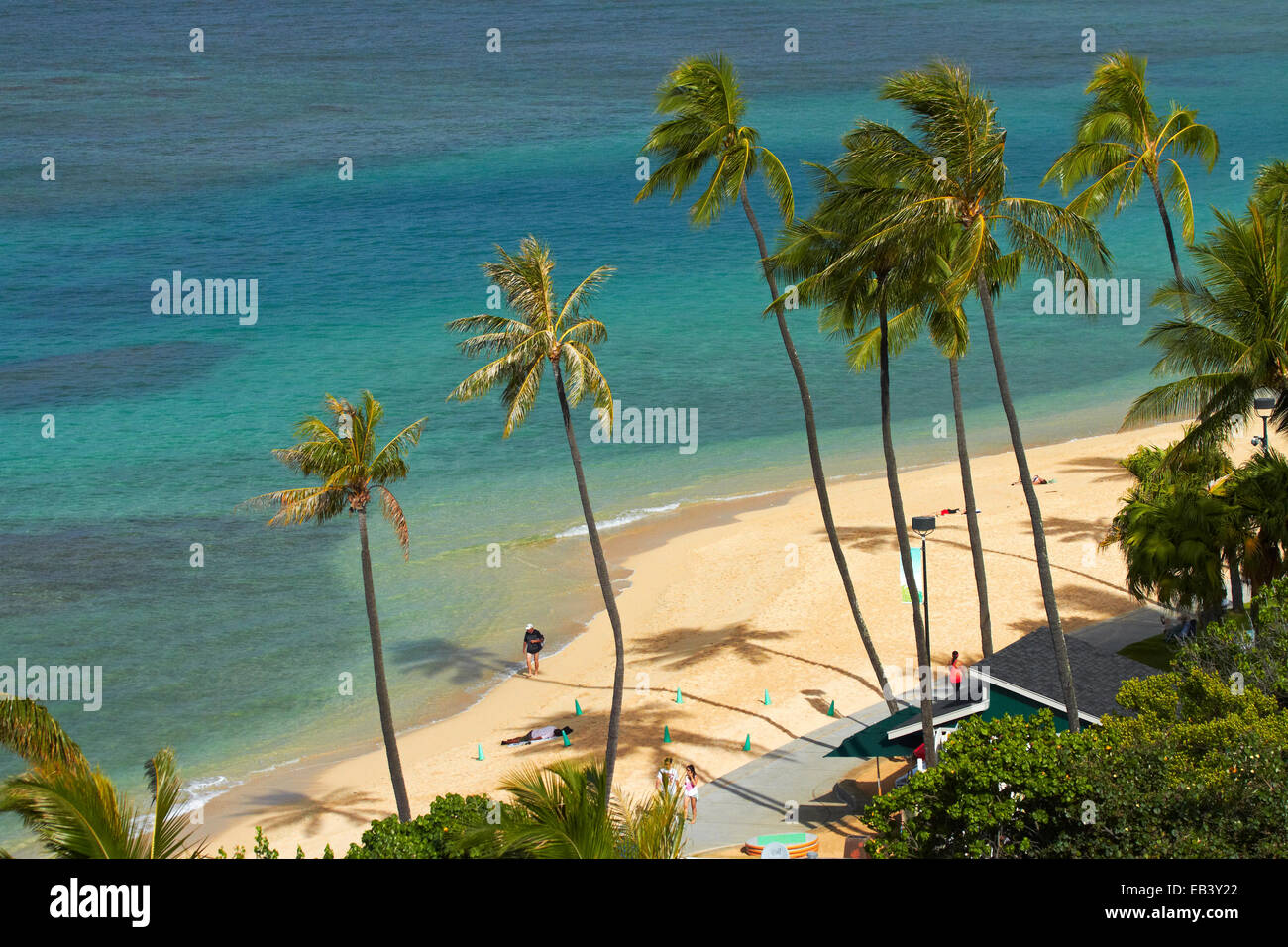 Fort DeRussy Spiaggia e palme, Waikiki, Honolulu Oahu, Hawaii, STATI UNITI D'AMERICA Foto Stock