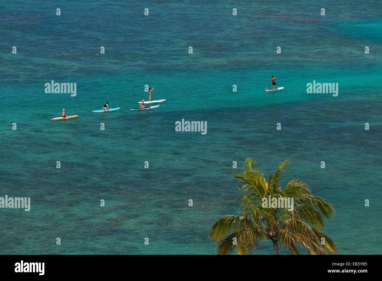 Fort DeRussy Beach, palme e stand up paddleboarders, Waikiki, Honolulu Oahu, Hawaii, STATI UNITI D'AMERICA Foto Stock