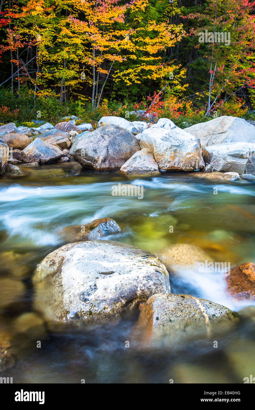 Il Cascades e Colore di autunno sul fiume Swift lungo l Autostrada Kancamagus nel White Mountain National Forest, New Hampshire. Foto Stock