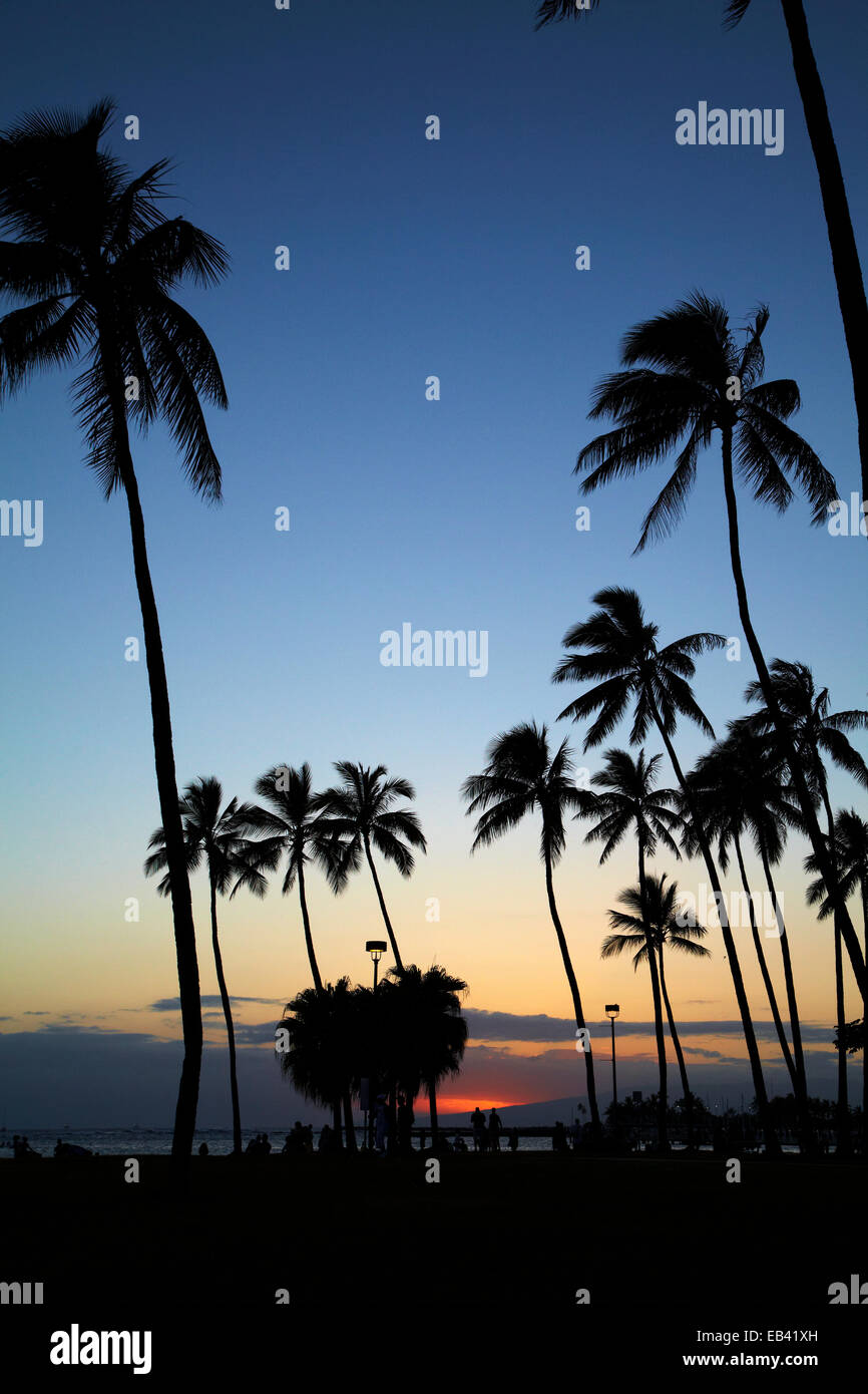 La gente a guardare il tramonto, Fort DeRussy Beach Park, Waikiki, Honolulu Oahu, Hawaii, STATI UNITI D'AMERICA Foto Stock