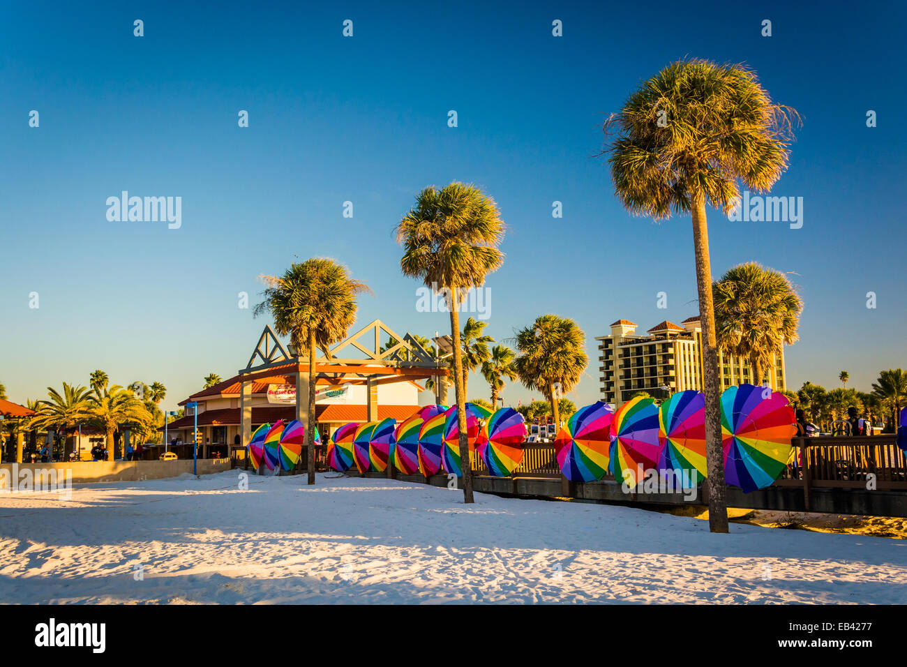 Palme e colorati ombrelloni in spiaggia Clearwater, Florida. Foto Stock