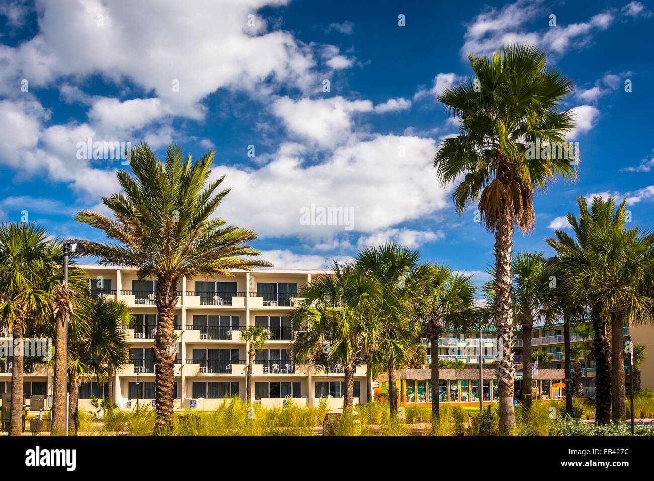 Palme e hotel in Clearwater Beach, Florida. Foto Stock