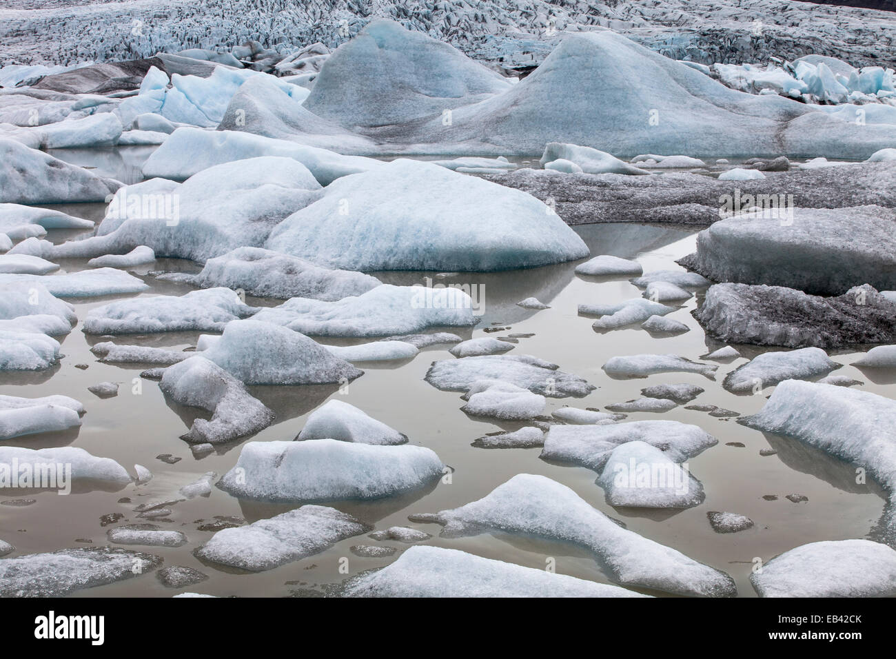 Fjallsárlón laguna glaciale, Islanda Foto Stock