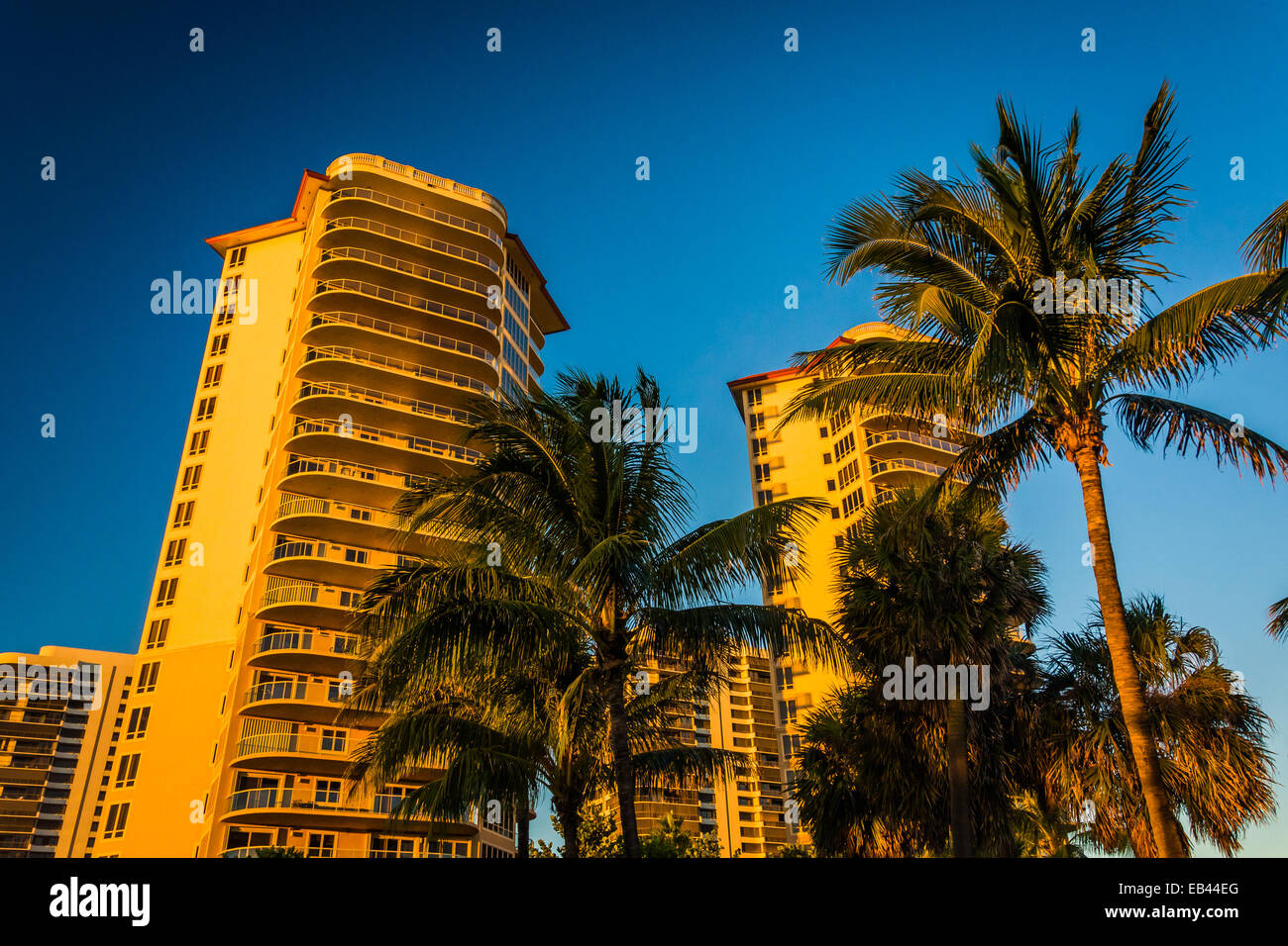 Palme e condominio le torri in Singer Island, Florida. Foto Stock