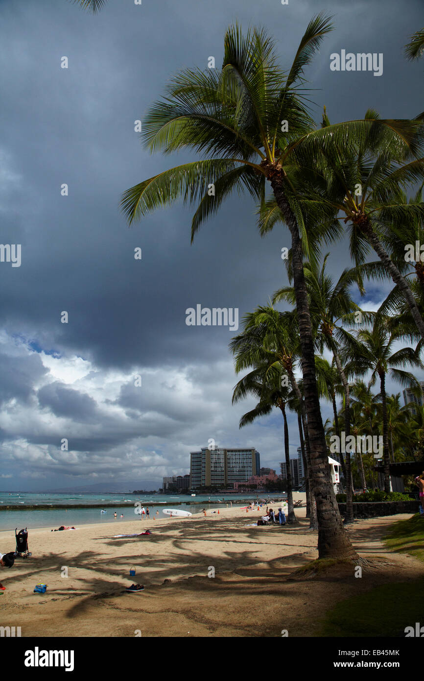 La spiaggia di Waikiki e palme, Waikiki, Honolulu Oahu, Hawaii, STATI UNITI D'AMERICA Foto Stock