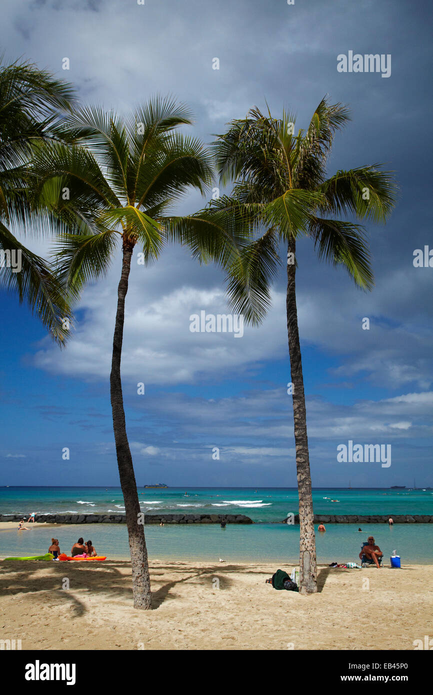 La spiaggia di Waikiki e palme, Waikiki, Honolulu Oahu, Hawaii, STATI UNITI D'AMERICA Foto Stock