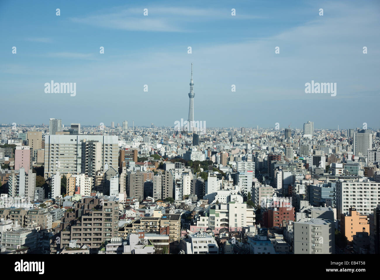 TOKYO SKYTREE,Sumida-Ku,Tokyo Giappone vista da Bunkyo civic center Foto Stock