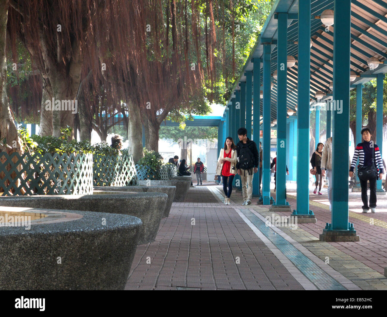 Cina Hong Kong coperto pedonale centrale quartiere molo pubblico promenade tree lane pathment Hongkong Foto Stock