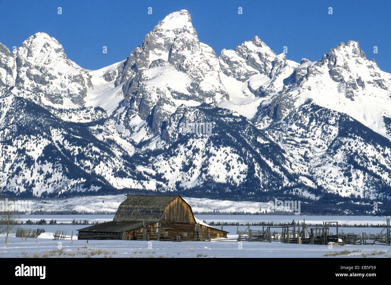 Questo storico weathered fienile nel Parco Nazionale di Grand Teton è sopraffatte da neve-coperta Grand Teton Mountains vicino a Jackson Hole, Wyoming negli Stati Uniti. Foto Stock