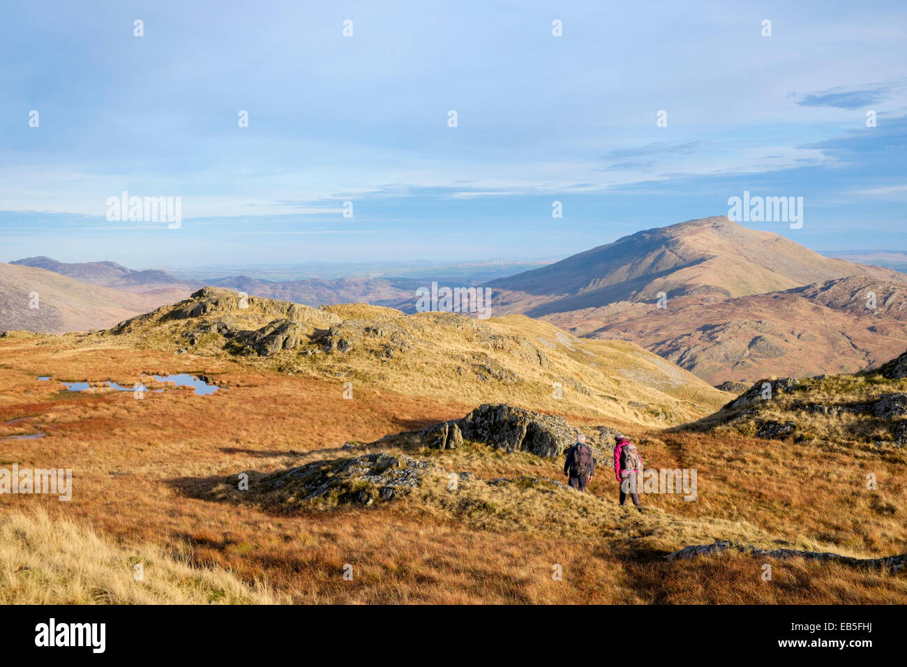 Vista Moel Siabod con due escursionisti escursionismo su Gallt y Wenallt in Snowdon Horseshoe in autunno. Parco Nazionale di Snowdonia (Eryri) Gwynedd North Wales UK Foto Stock